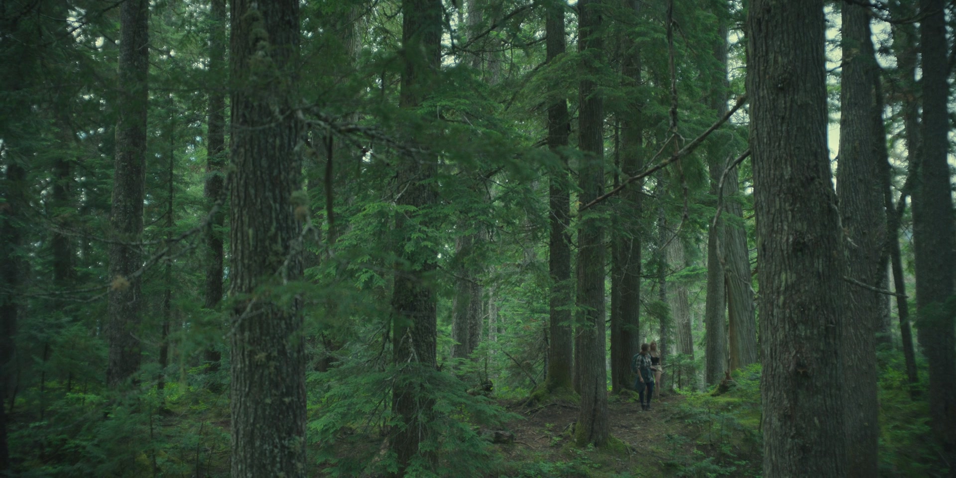 Wilderness-Episode2-Caps-1006.jpg